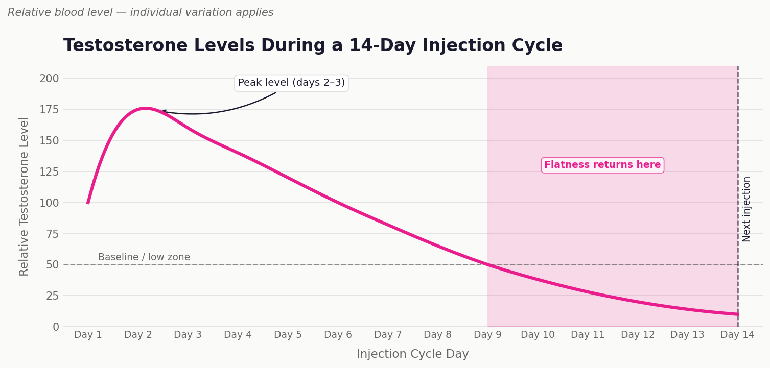 Pharmacokinetic curve showing testosterone enanthate blood levels over a two-week injection cycle, with peak around day 2-3 and trough at day 12-14